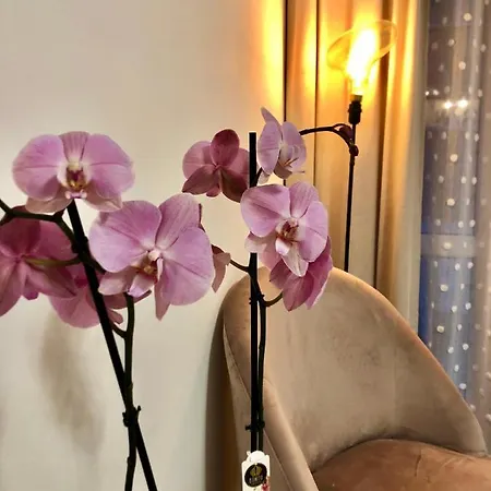 Apartamento Old Town Romantic Apartment. Breslau-wroclaw. *